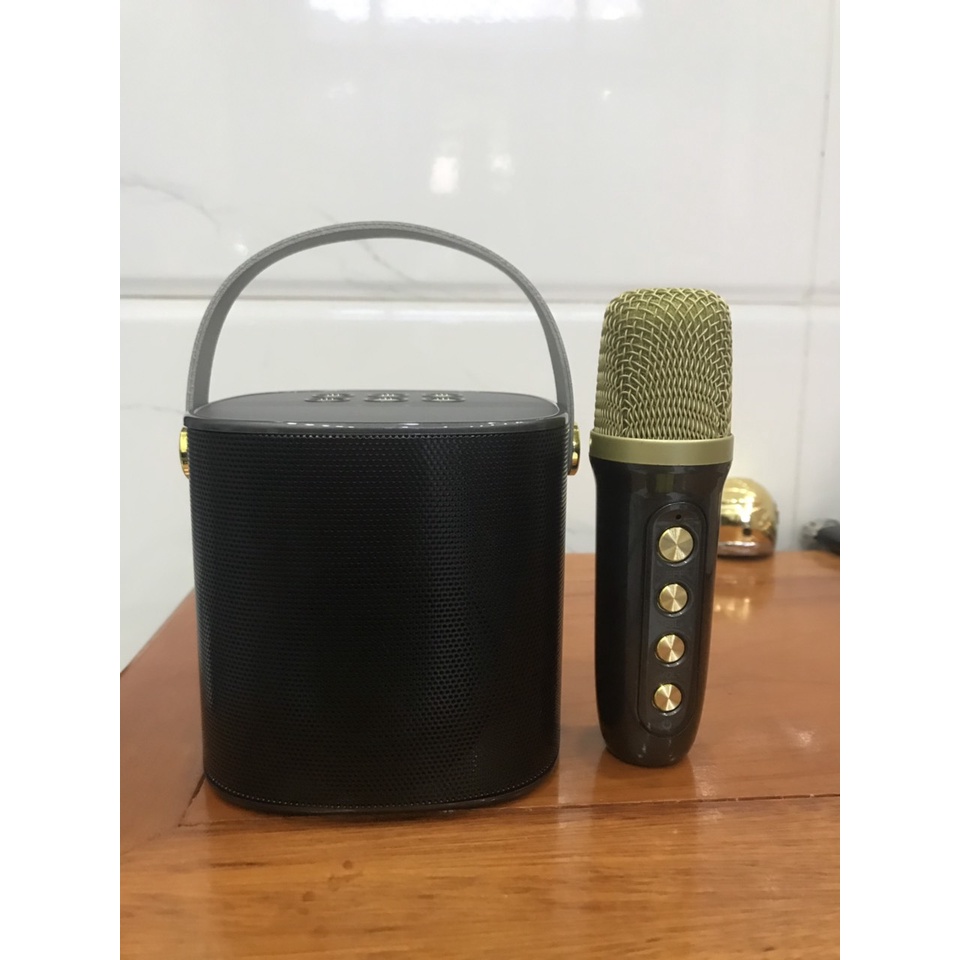 Loa karaoke mini Bluetooth YS101