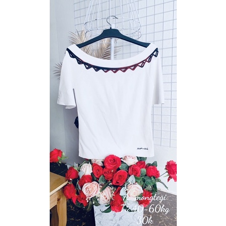 Áo len mongtegi kiểu