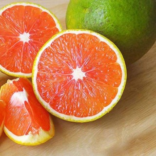 Cây giống Cam Cara ruột đỏ