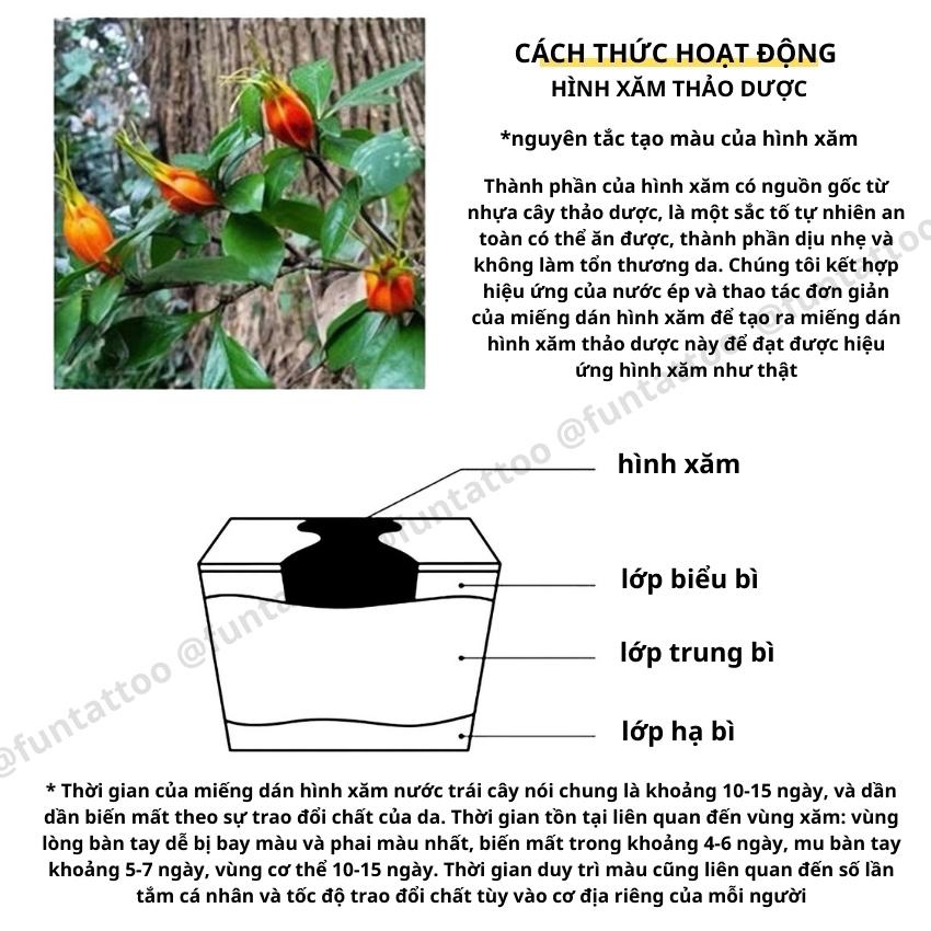 Hình Xăm Tạm Thời Vòng Tay Cá Chép Hoa Sen May Mắn Funtattoo VT13 Kéo Dài 15 Ngày Không Thấm Nước Chống Cọ Xát