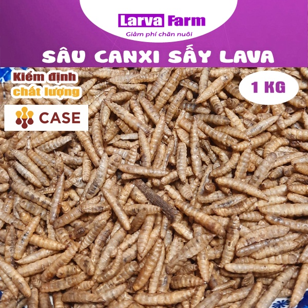 Sâu canxi sấy khô LAVA - 1kg loại thường (dành cho hamster/nhím/bò sát/ chim/ gà/..)