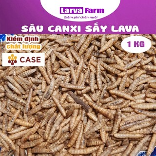 Sâu canxi sấy khô LAVA - 1kg loại thường (dành cho hamster/nhím/bò sát/ chim/ gà/..)