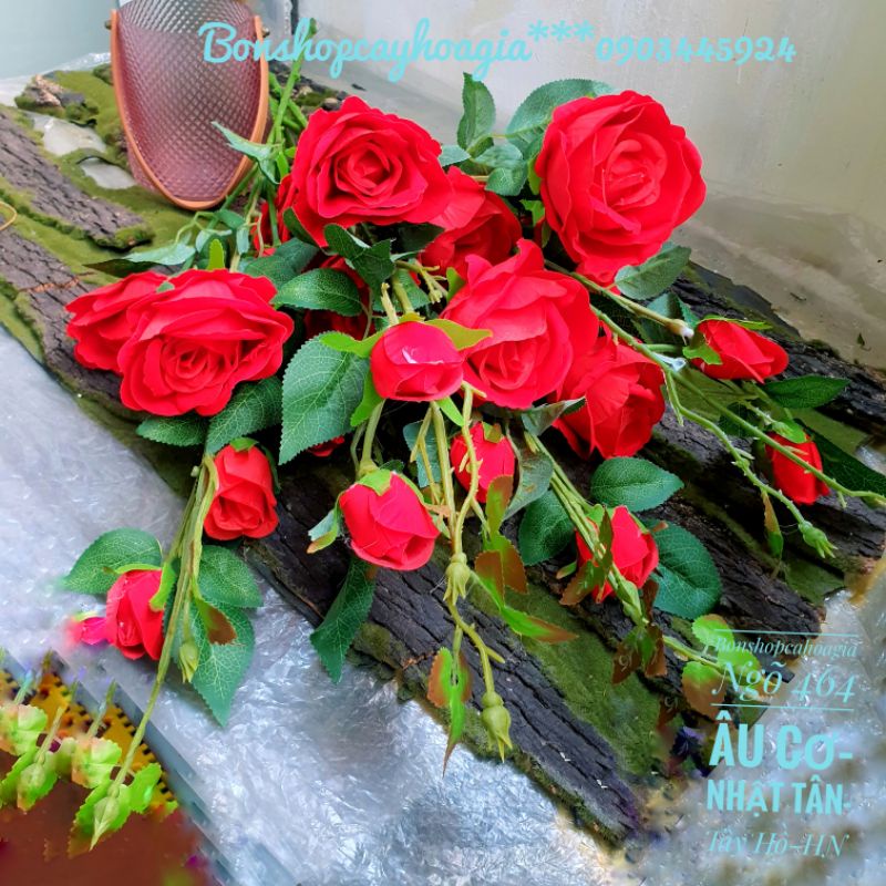 Cành hoa hồng nhung 3 bông,2 nụ nhiều lộc,cao 1m15.