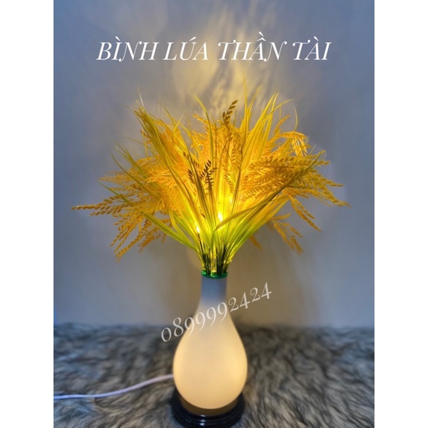 BÌNH BÔNG LÚA TÚI TIỀN VỀ HÀNG, BÌNH BÔNG LÚA TÚI TIỀN TRANG TRÍ NHÀ CỬA