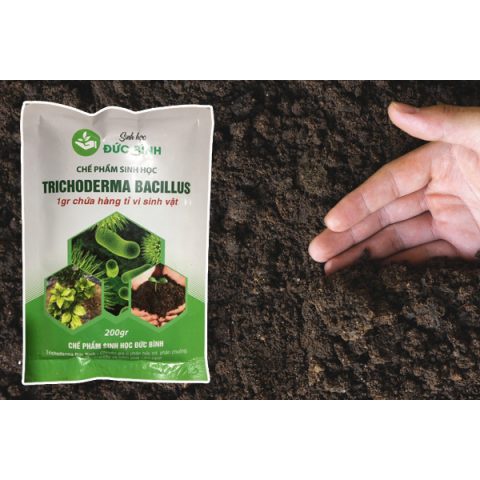 Chế phẩm vi sinh vật trichoderma Đức Bình gói 200gr