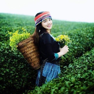 1 kg chè búp Trung Du xứ Lạng