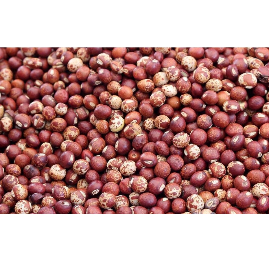 1 kg Hạt Đậu Săng ORGANIC ĐĂKLĂK (đậu chè, mộc đậu)