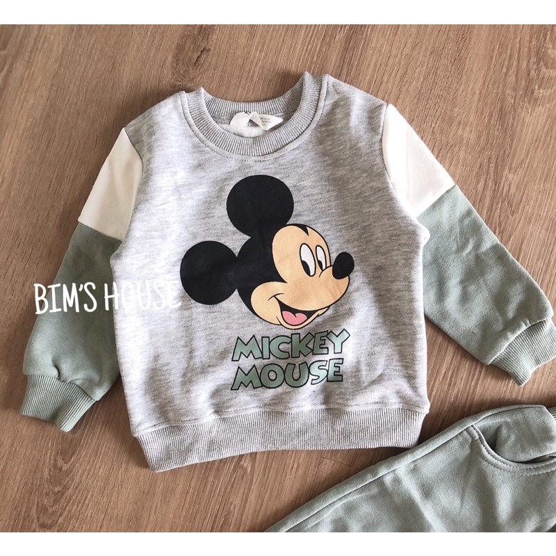 Bộ micky nỉ bông