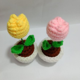 CHẬU HOA TULIP LEN HANDMADE
