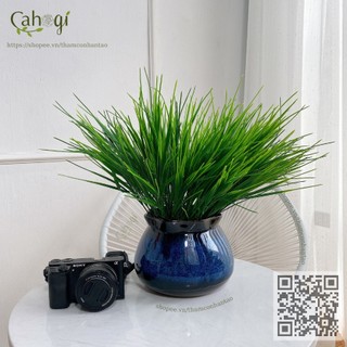 Cây Trang Trí - Cành Mạ Non 0143