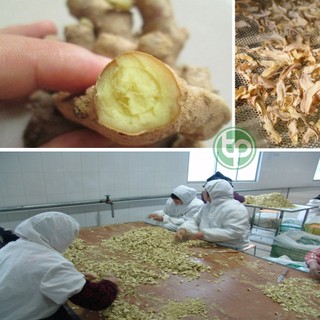 [Hàng Công Ty] Gừng sấy khô ( Mới, Thơm, Sạch)