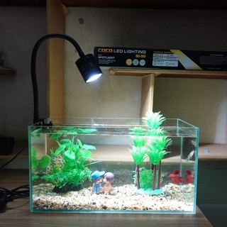 Đèn led thủy sinh kẹp thành bể cá SD-300