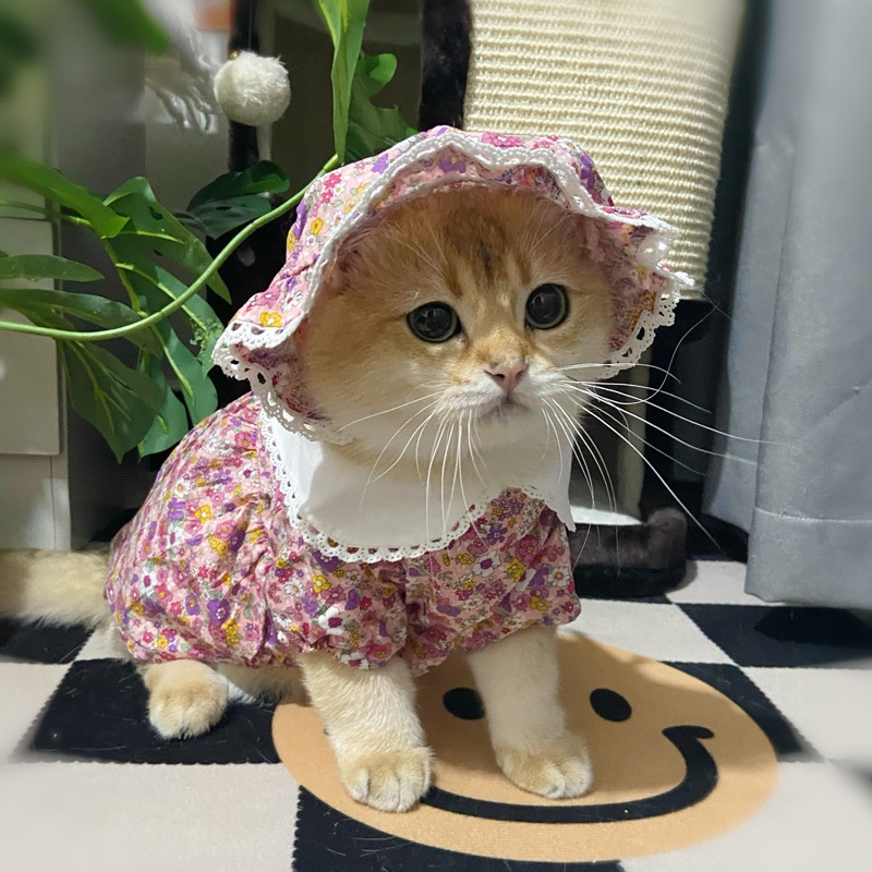 Bộ Trang Phục 2 Món Gồm Đầm + Nón Sọc Caro + Băng Cài Đầu Cho Cún Cưng Shih Tzu Sinh Nhật / Đám Cưới