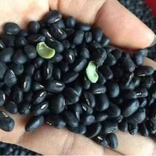 200gr đậu đen nấu chè - đậu nhà trồng-đậu mới