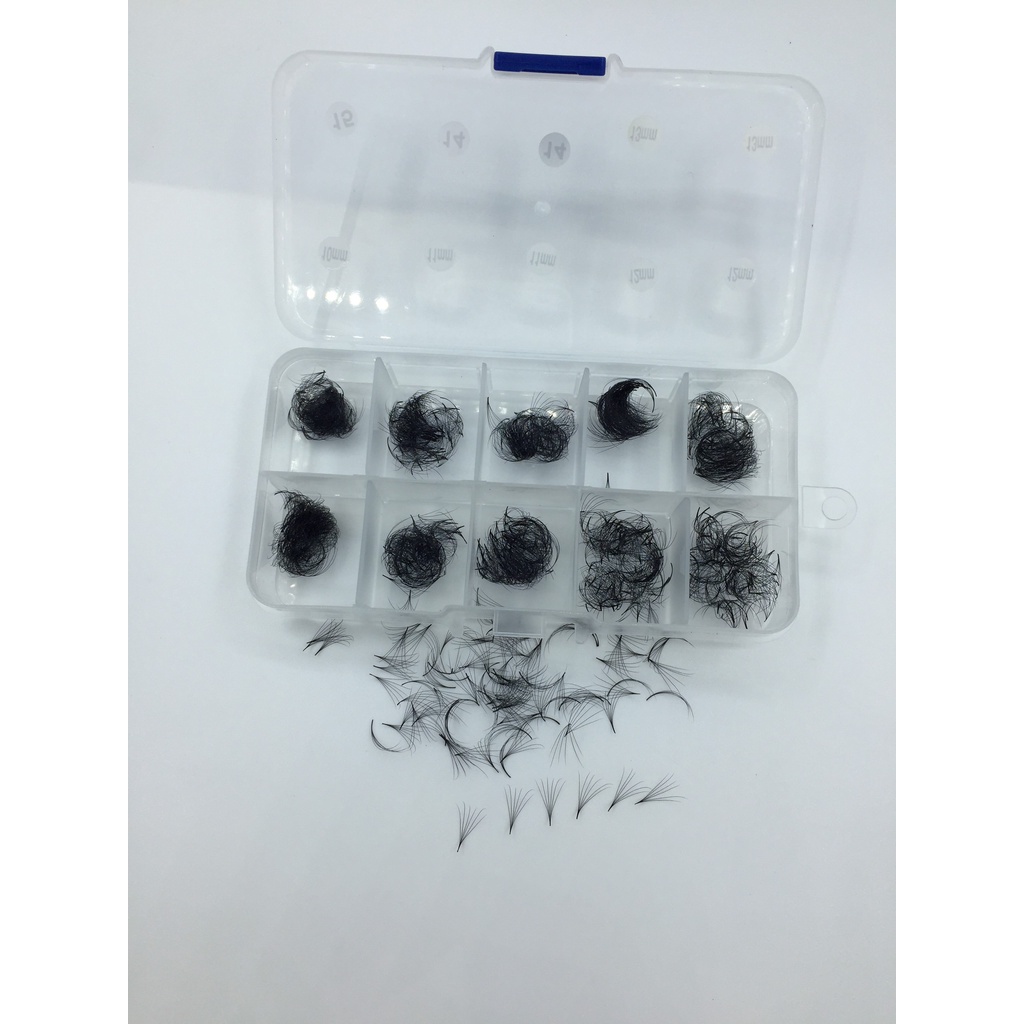 Mi fan 6D sole Mix size (10-15mm) Dày 0.07_Dụng cụ nối mi_Đức Eyelash