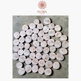 Khoanh gỗ tròn trang trí decor nhà cửa , chụp hình, giáng sinh