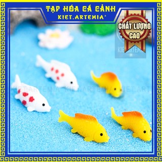 Trang trí bể cá - tiểu cảnh cá Koi, tiểu cảnh bể cá, sen đá, terrarium, trang trí bể cá mini