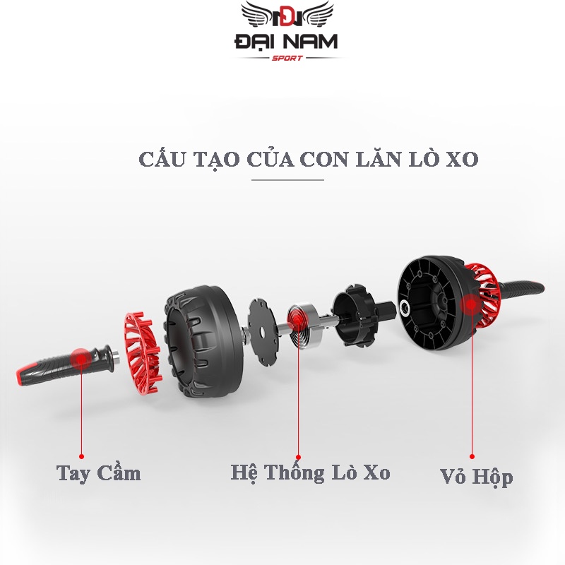 Con Lăn Tập Bụng Lò Xo Trợ Lực SW-800 Chịu Tải 200kg Đại Nam Sport + Tặng Thảm Lót Đầu Gối