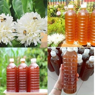 Mật ong hoa cà phê nguyên chất
