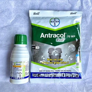 Combo Trị Thán Thư, Rỉ Sét, Trị Nấm Bảo Vệ Cây Nho. Antracol 70WP + Anvil 5SC.