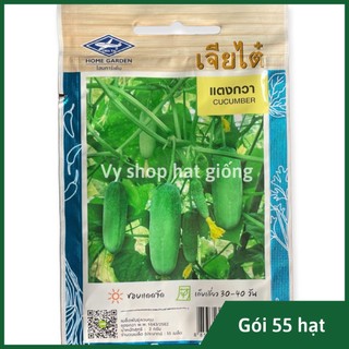 Hạt giống dưa chuột nếp béo thái lan gói 55 hạt