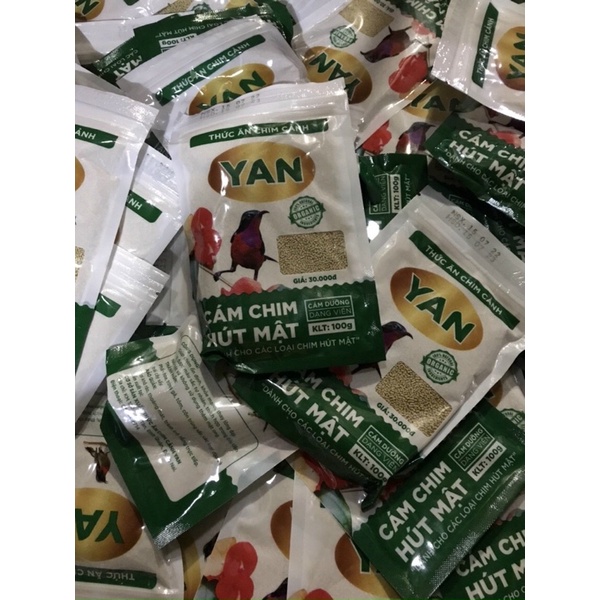 Cám chim hút mật loại hạt yan hót, yan dưỡng