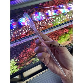 Ống đo lường mức phân thuốc - ống đong ml phân nước bể thủy sinh.