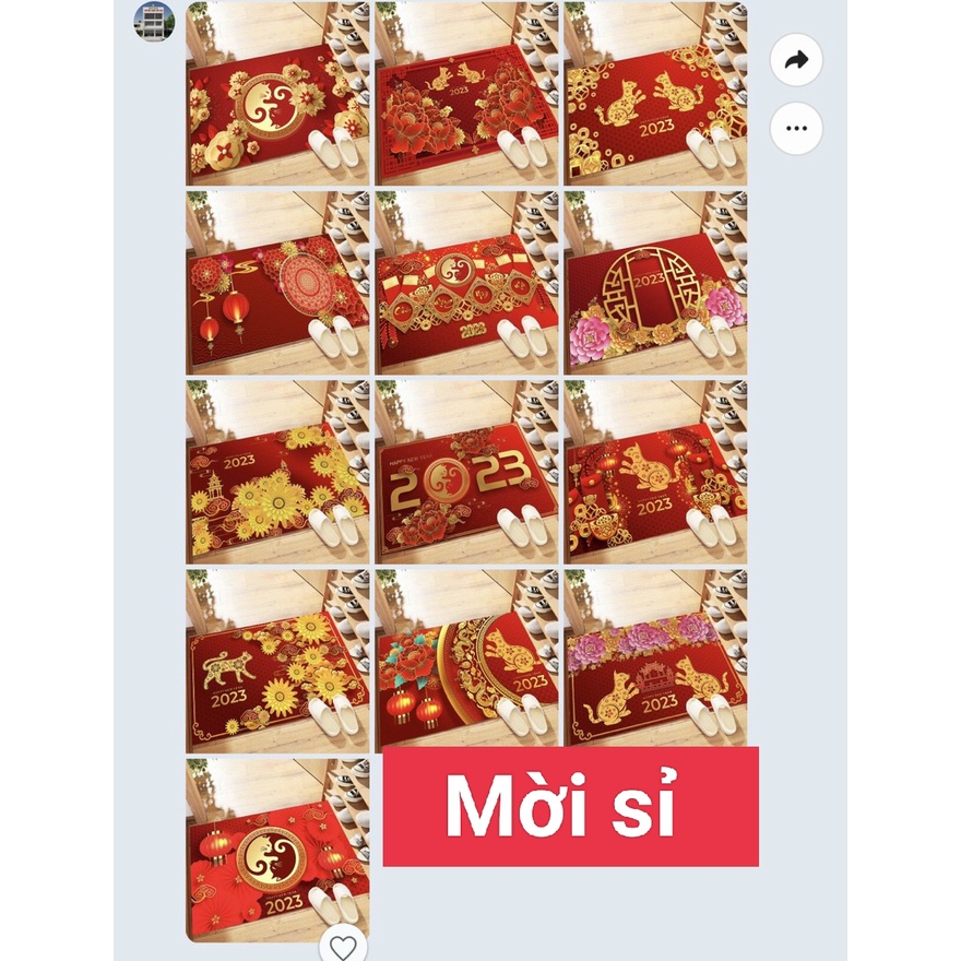 thảm tết , thảm chùi chân ,thảm lau chân kích thước 40*60cm mẫu mèo 2023 giá 14000₫