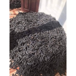 Quả bồ kết phơi khô 1 kg ( quả chín rụng cây)