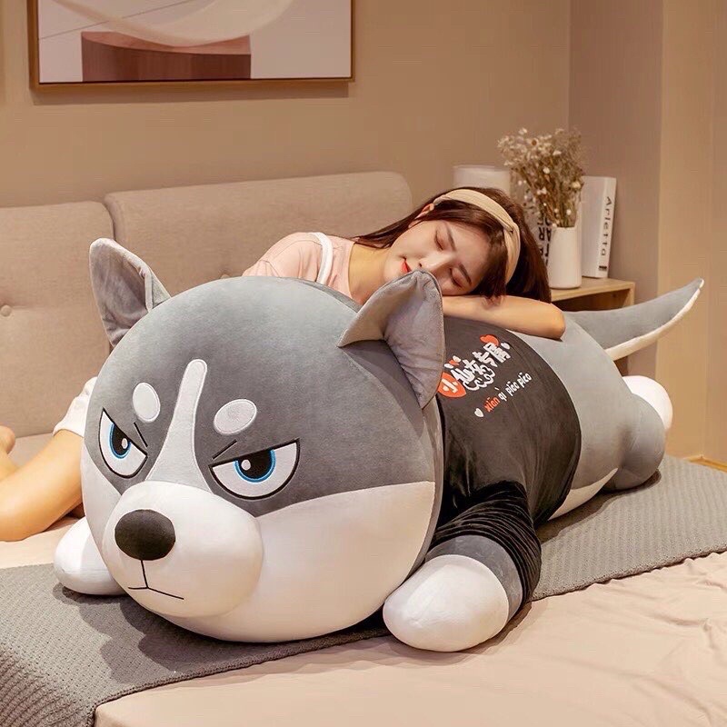 Chó Husky Siêu To Khổng Lồ
