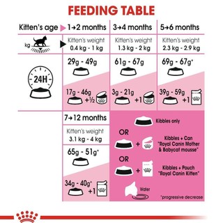 [Có sẵn] Hạt Royal Canin Kitten Cho Mèo Con