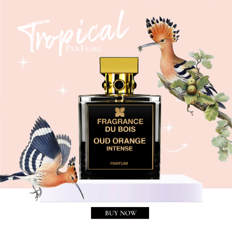 [𝕥𝕣𝕠𝕡𝕚𝕔𝕒𝕝] Nước hoa Oud Orange Intense 5ml/10ml/20ml
