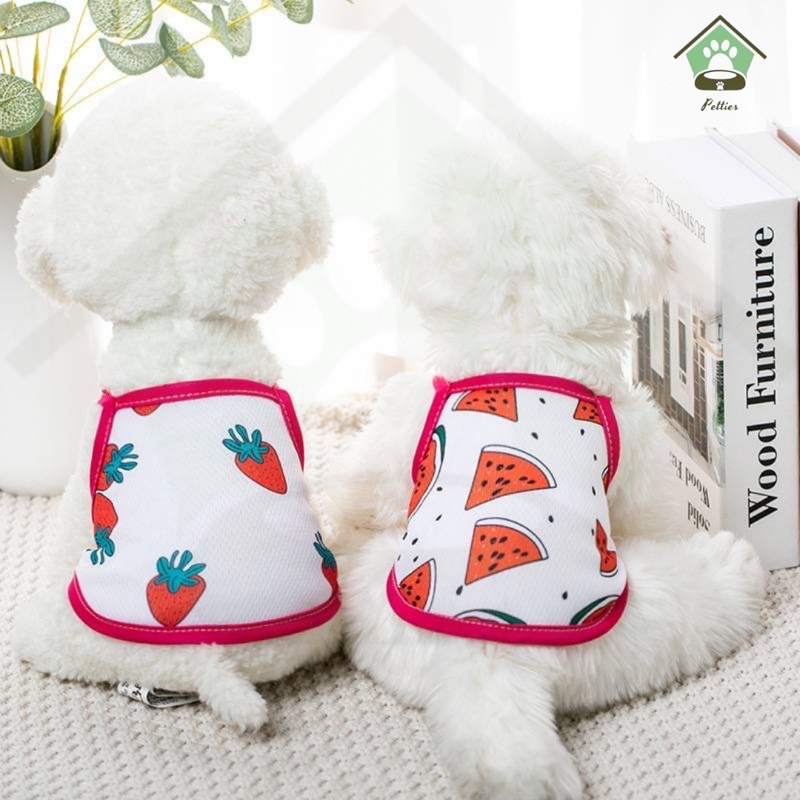 ÁO 2 DÂY HỌA TIẾT TRÁI CÂY DÀNH CHO THÚ CƯNG 🎽🐱
