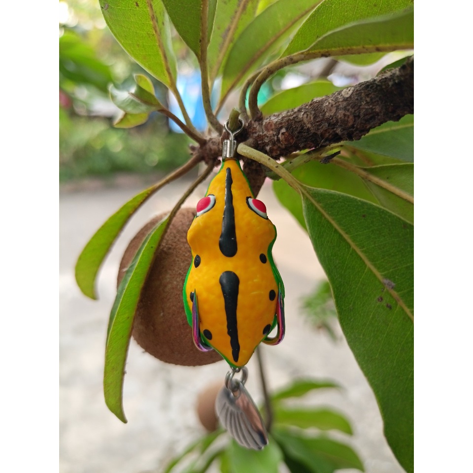 Nhái hơi Titan VQ 6