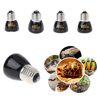 Đèn Sưởi Ấm Cho Bò Sát