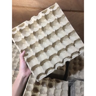 50 Vỉ giấy đựng trứng gà, khay trứng giấy, Hàng Mới Cứng dùng trang trí, đựng trứng, tô màu, nuôi dế,..