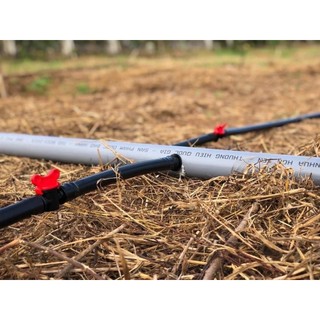 COMBO 10 Van khóa ống LDPE 25mm