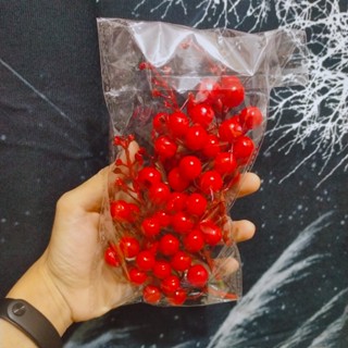 Cành Chery Đỏ - Phụ Kiện Decor Vòng Nguyệt Quế Trang Trí Noel