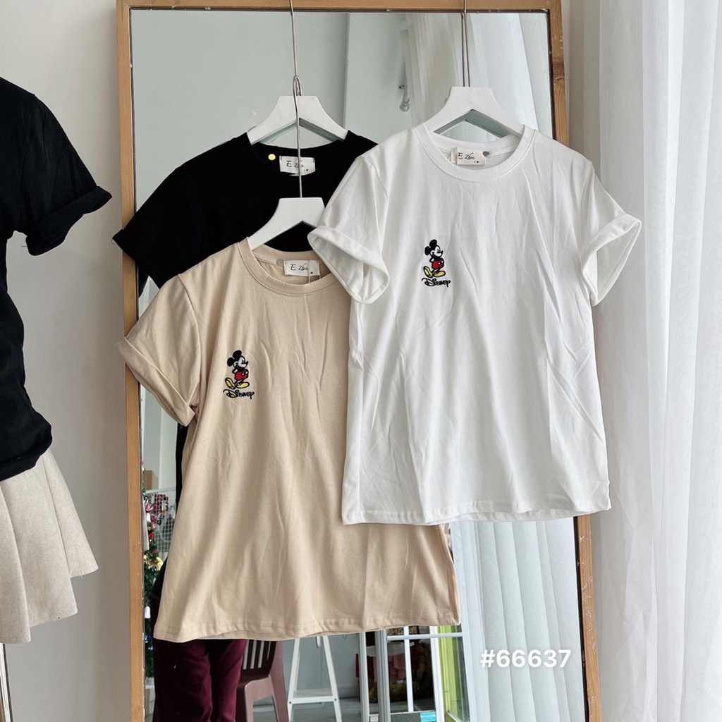 Áo thun form vừa sắn tay