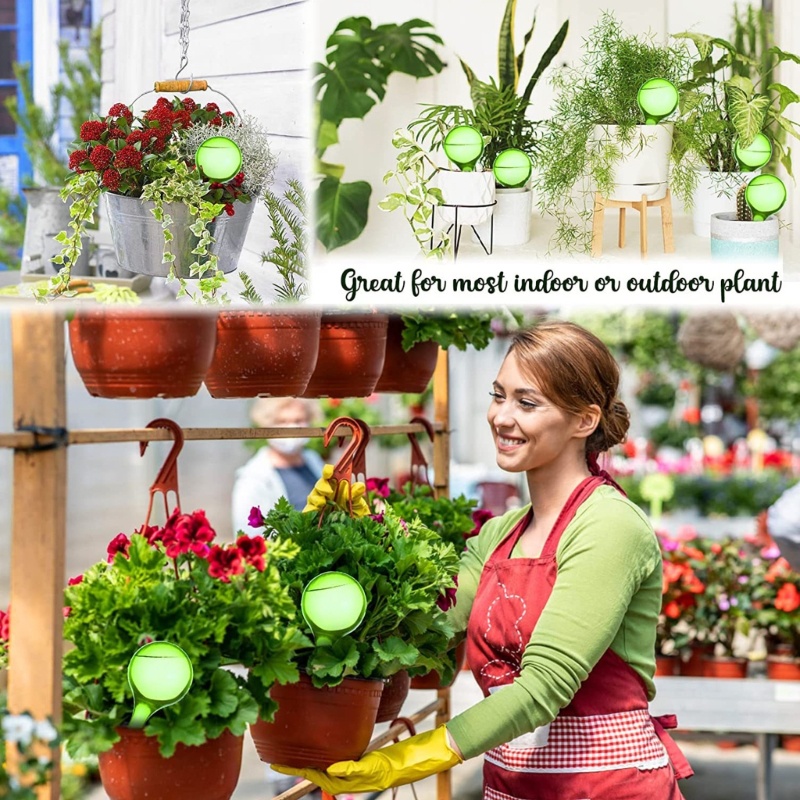 Set 6 Bóng Nhựa Tưới Cây Tự Động