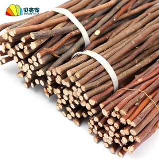 trang trí handmade Steam Cành cây khô