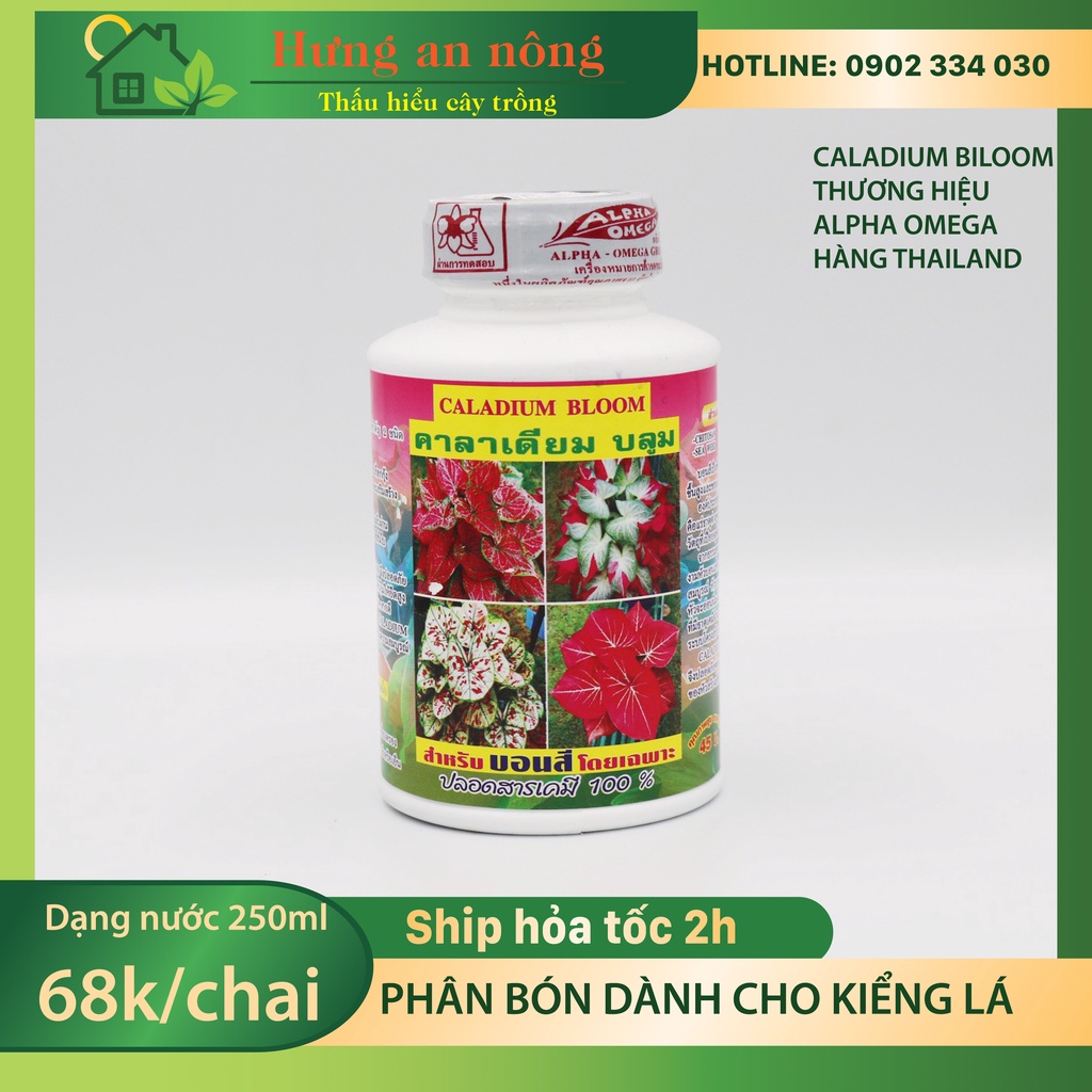 Chai 250ml - Caladium Bloom phân bón dành cho kiểng lá giúp tăng trưởng, tăng cường màu sắc lá to, cây khỏe hàng thailan