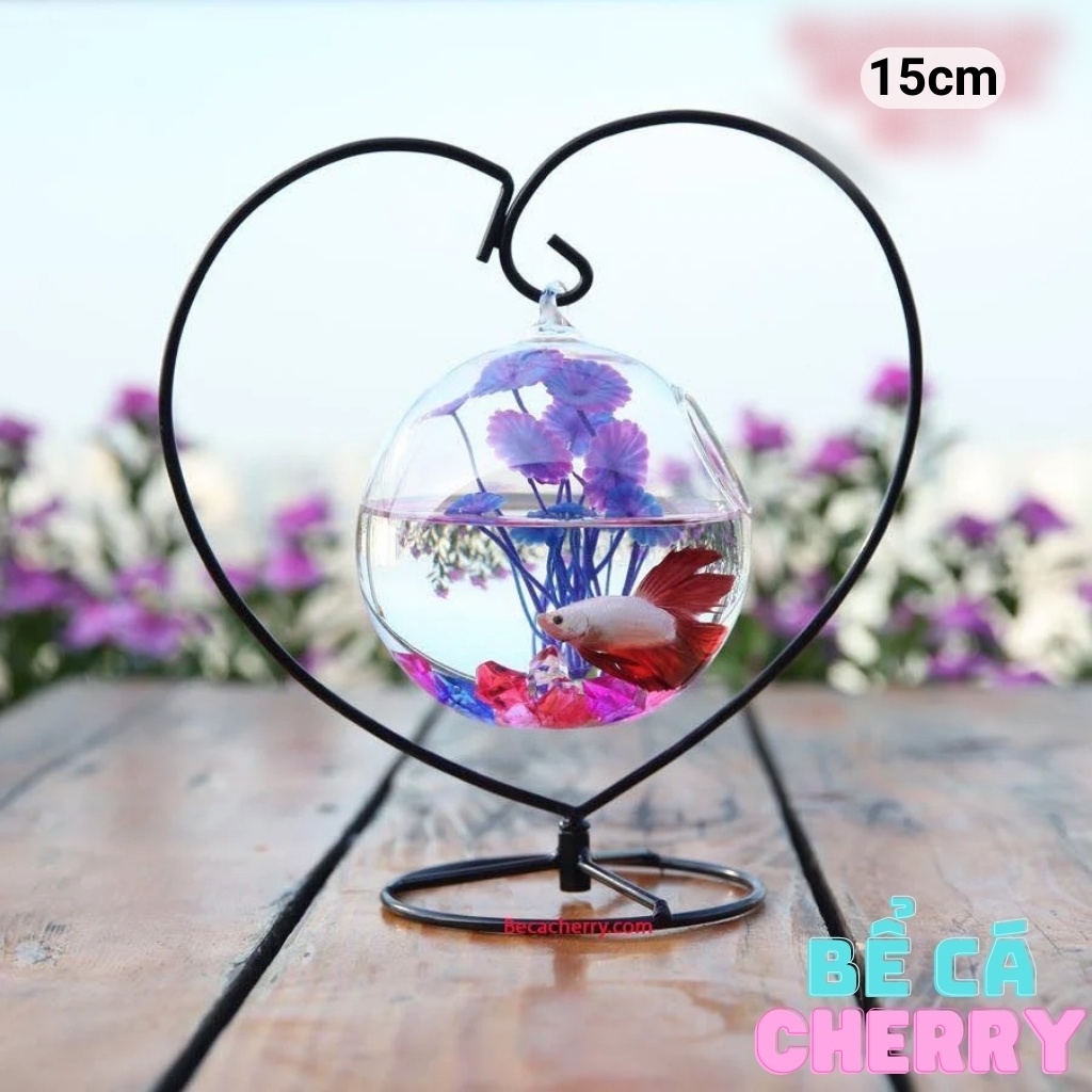 Bể cá mini trái tim 26 CỠ TO ( Tặng kèm combo phụ kiện trang trí )