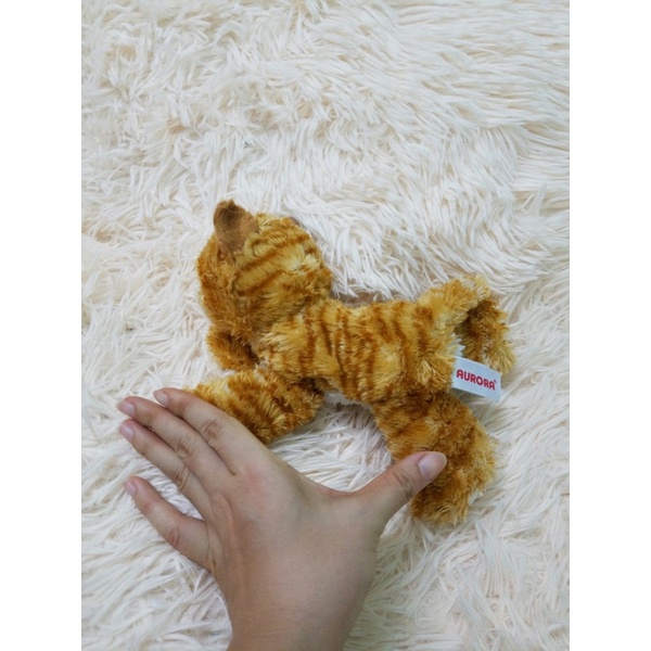 Gấu bông con mèo giống như thật