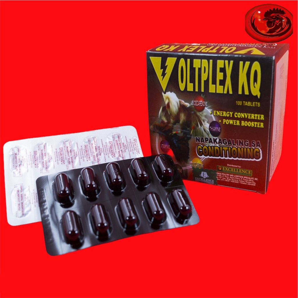 VOLTPLEX KQ ốp gà, săn cơ, bền sức, phút 90 cho gà đá 10 VIÊN
