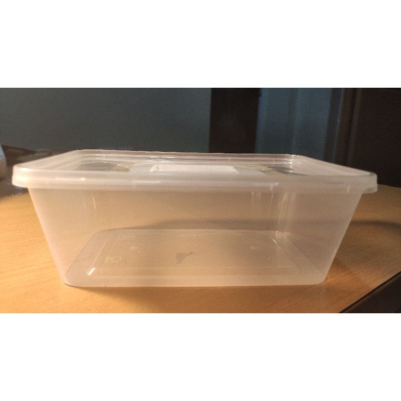 Hộp nuôi trùn chỉ trắng Grindal Worm