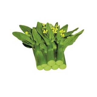 Cải ngồng thân mập 500H