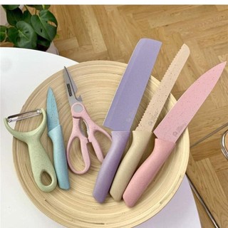 Bộ dao 6 món, dao nhật bản (bộ)