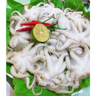 Bạch tuộc 2da . khay 500g