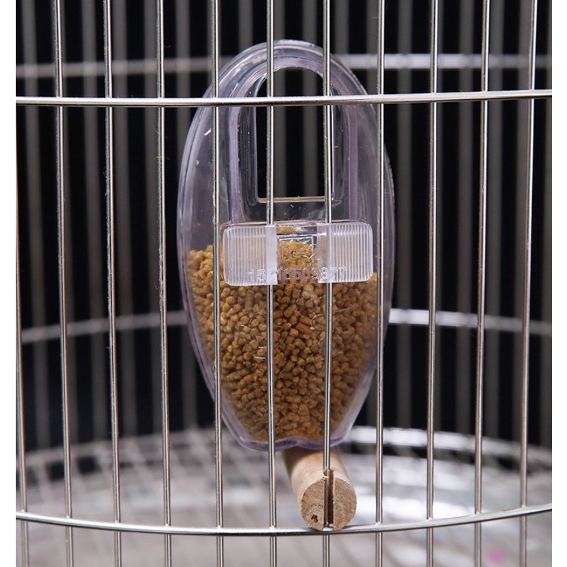 Cóng Chống Vẩy Cho Chim Khuyên, Chào Mào, Chích Chòe, Họa Mi